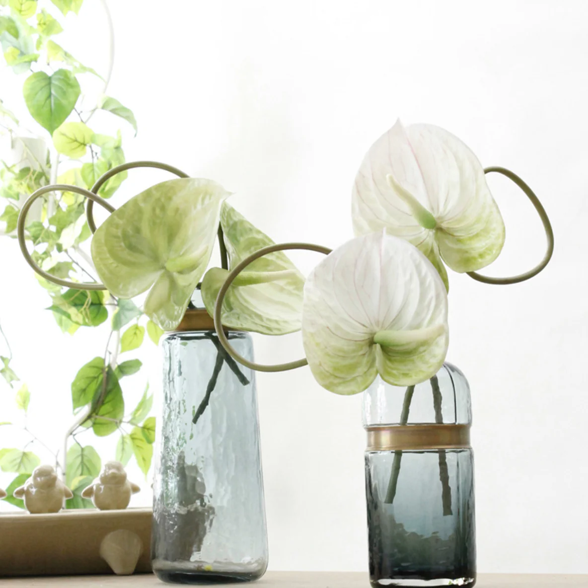 Anthurium - Image 6