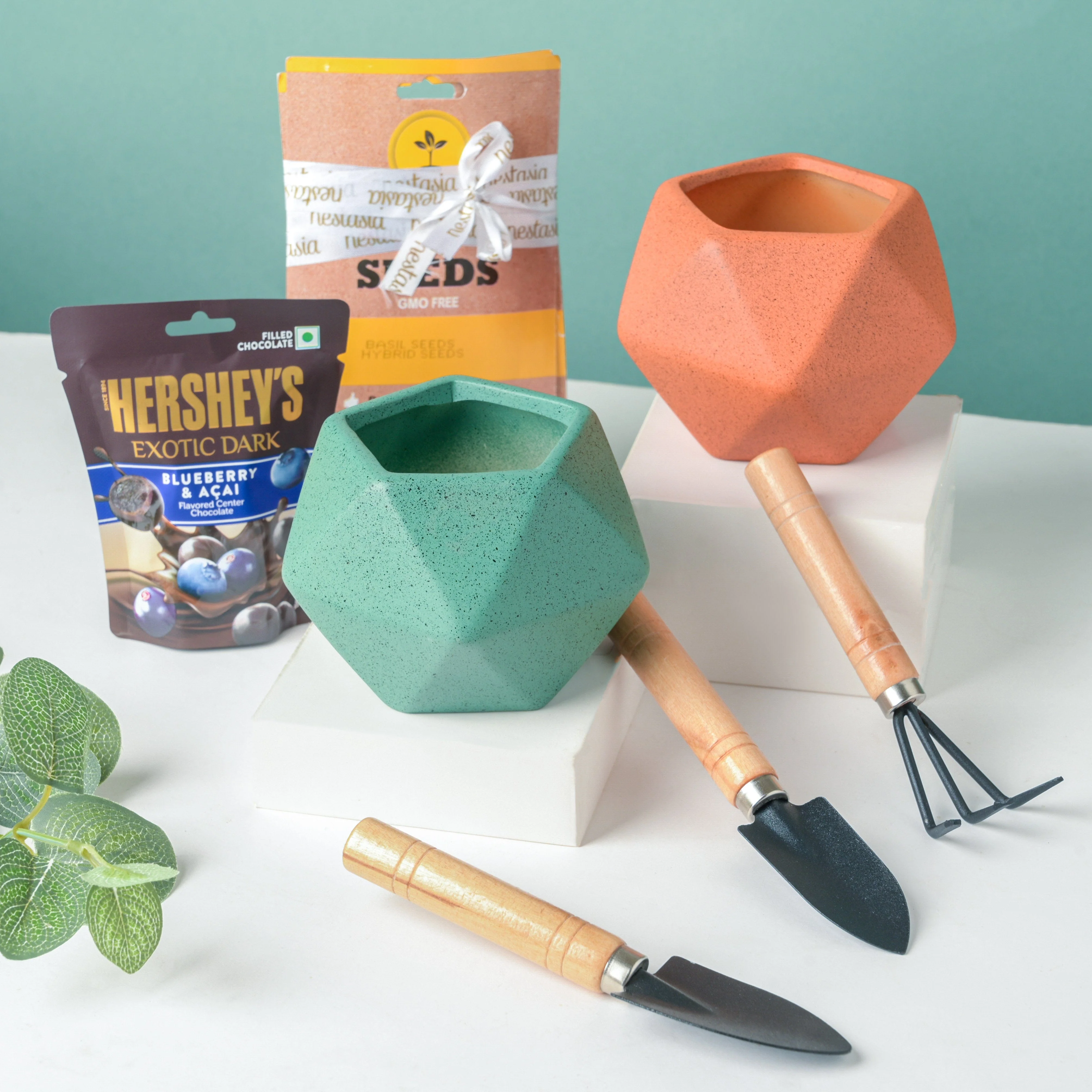 Plant Pot, Tools, And Seeds Festive Hamper Set Of 6 - Image 2