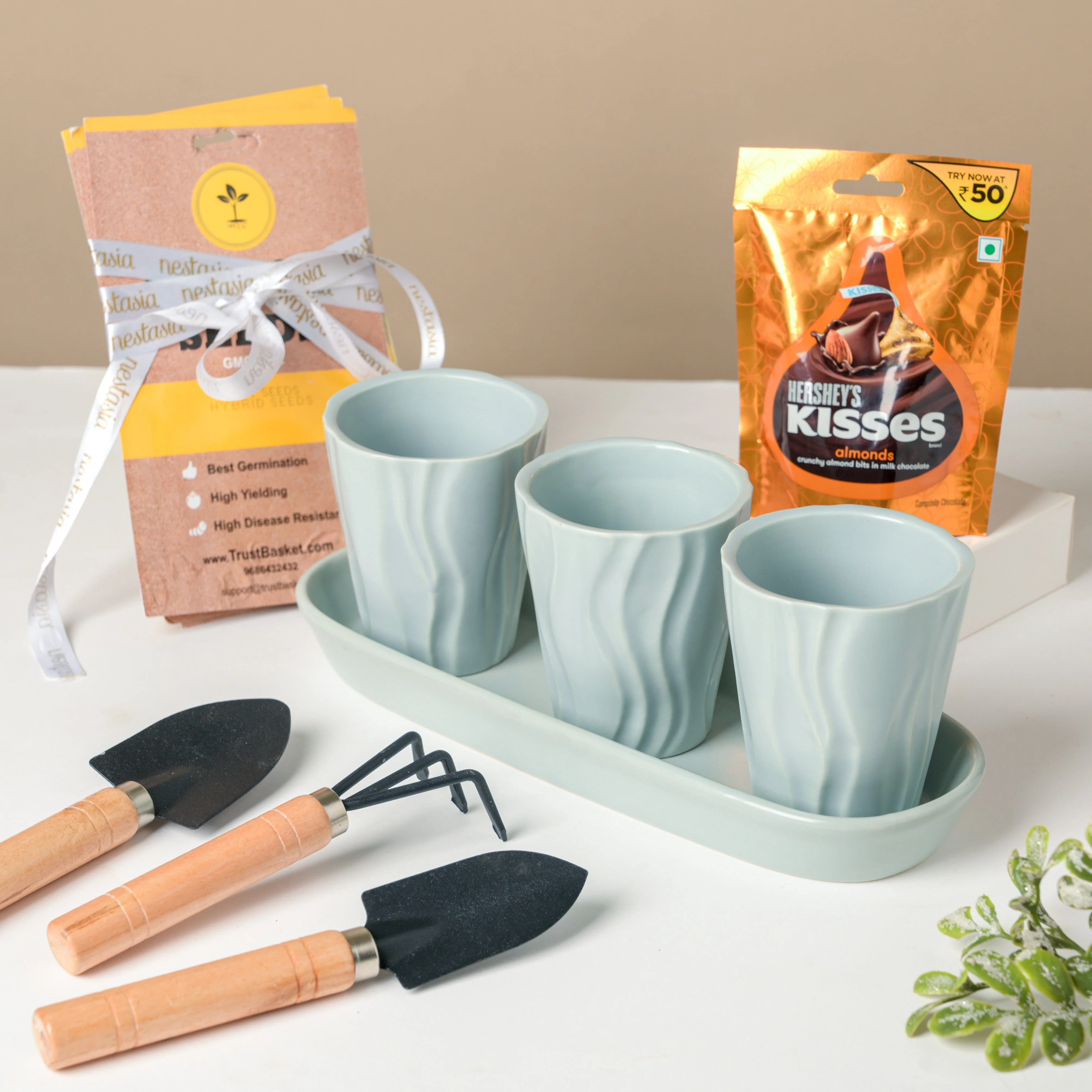 Planter, Tool And Seeds Festive Hamper Set Of 6 - Image 2