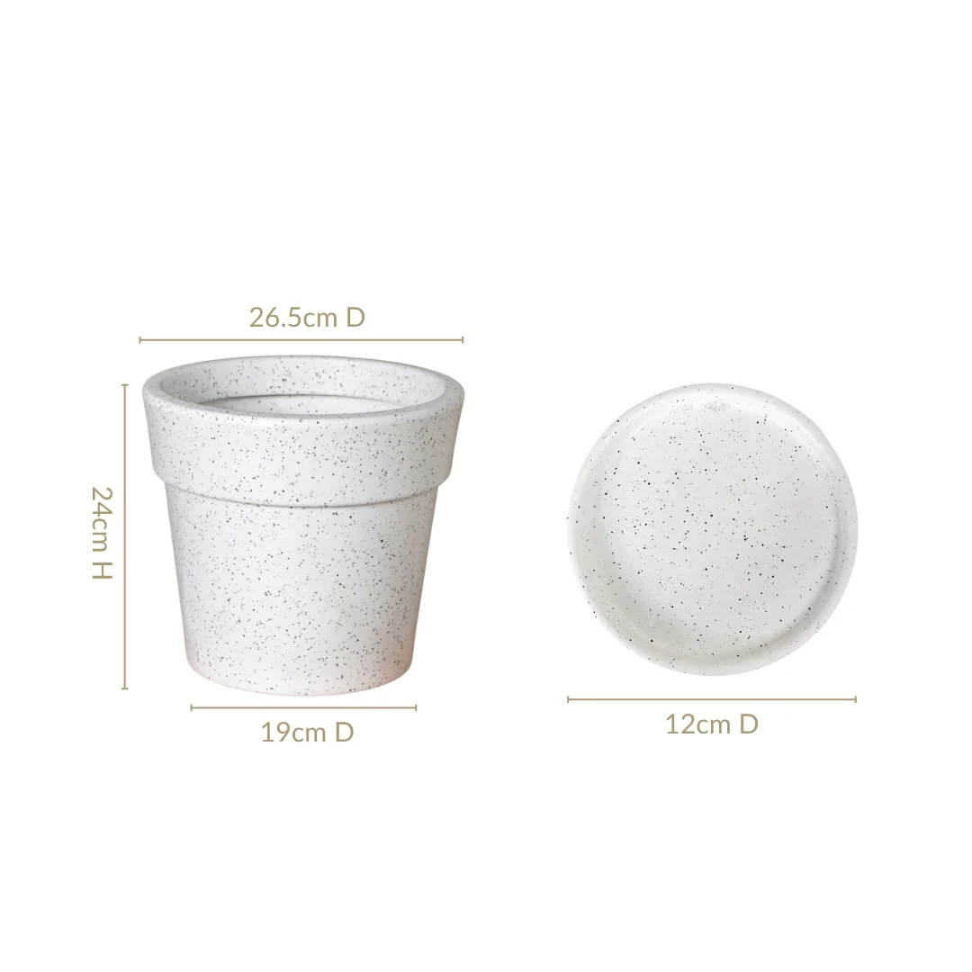 Planterra White Planter With Plate 10x9 Inch - Image 4