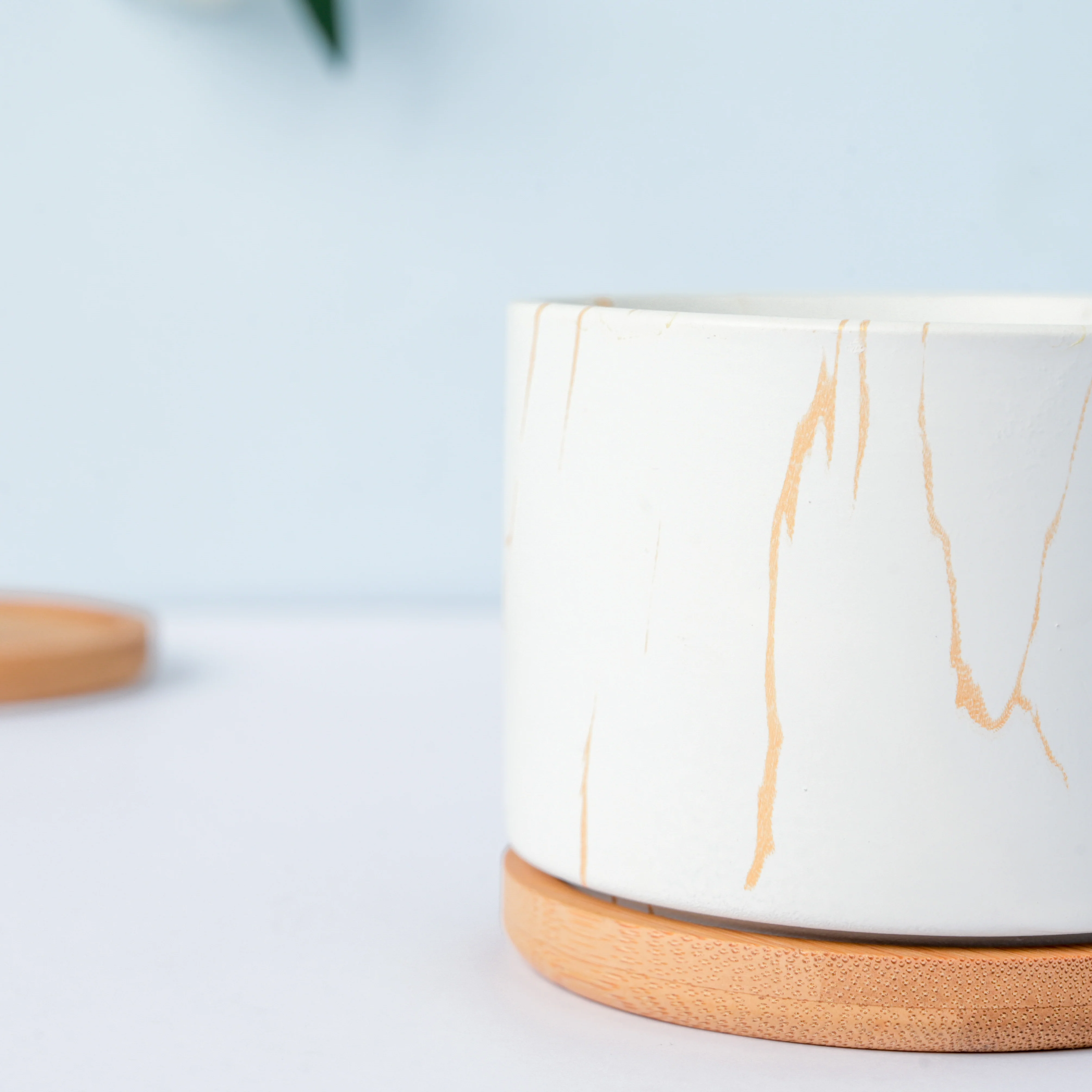 Pure White Ceramic Planter With Coaster - Image 7