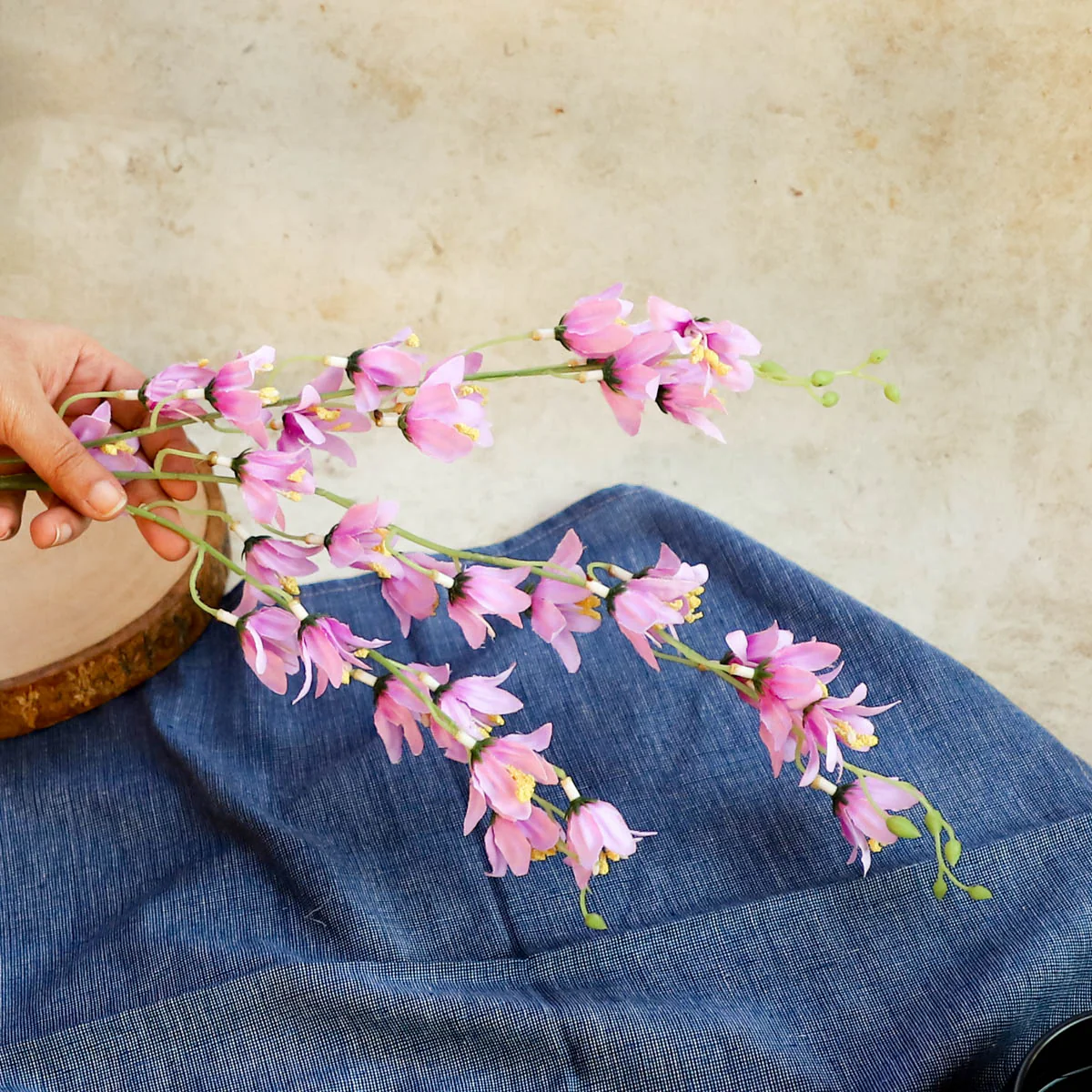 Purple Jasmine - Image 7