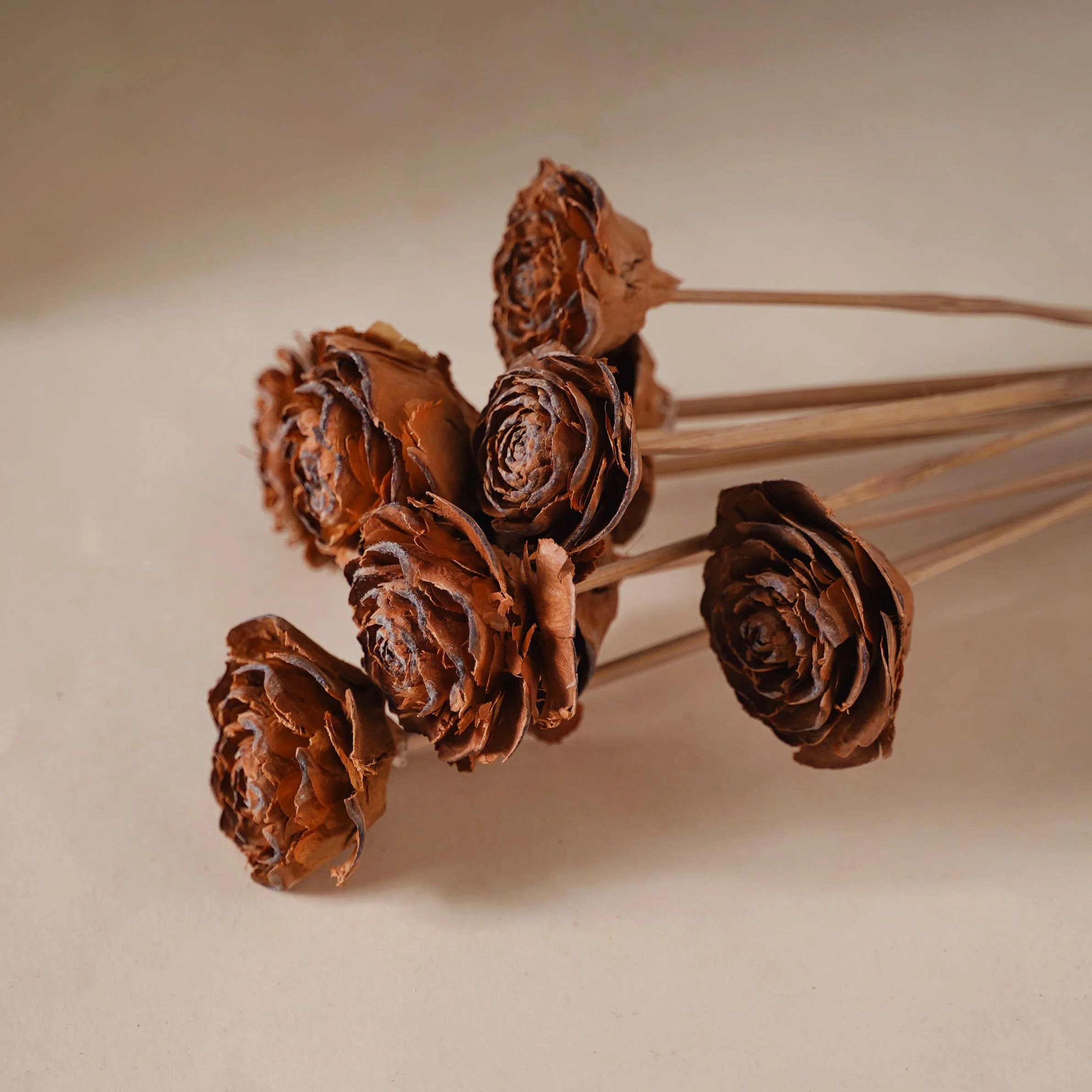 Rose Stick - Image 4