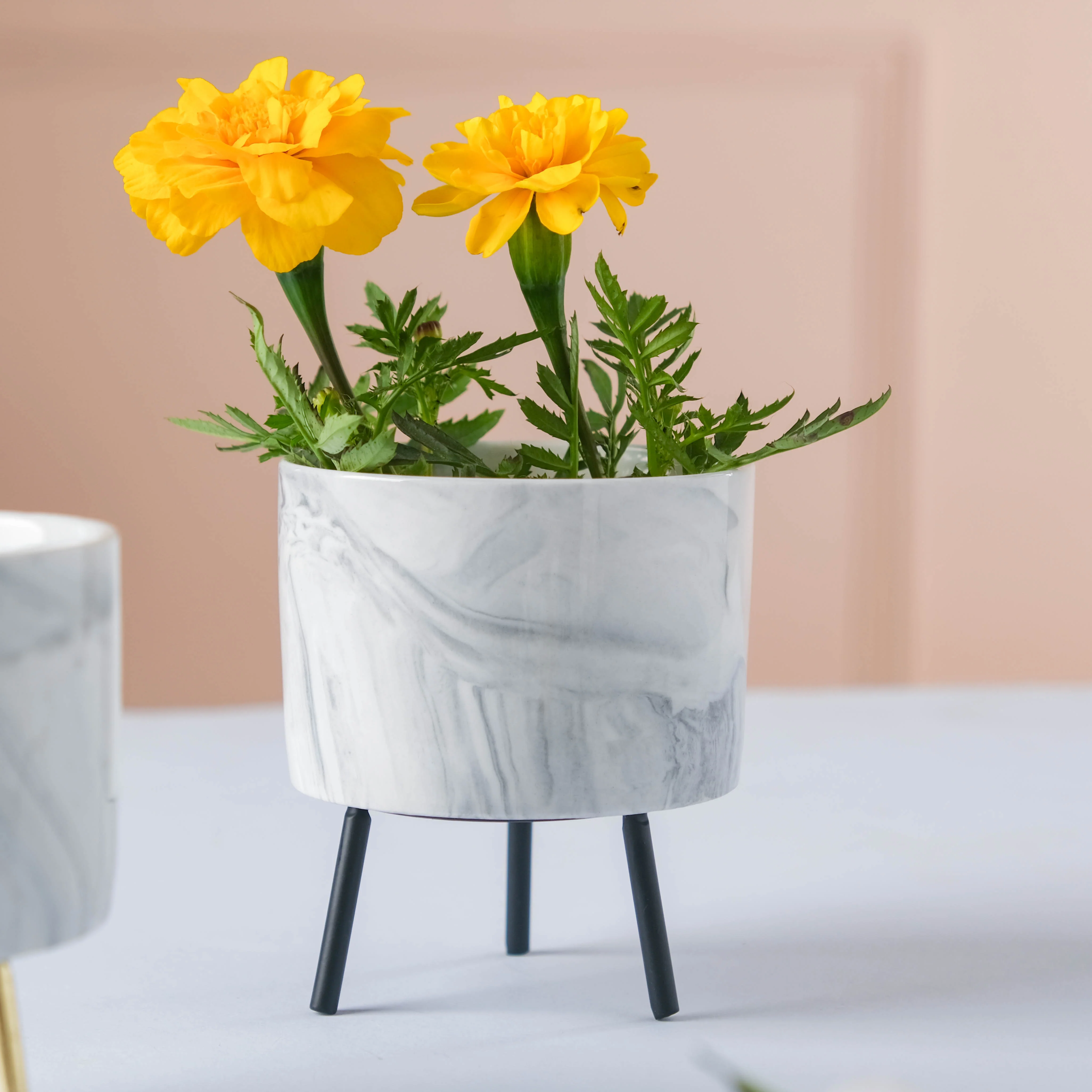 Small Marble Ceramic Indoor Planter - Image 8