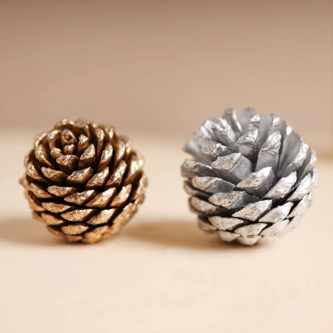 Small Pine Cones - Image 7
