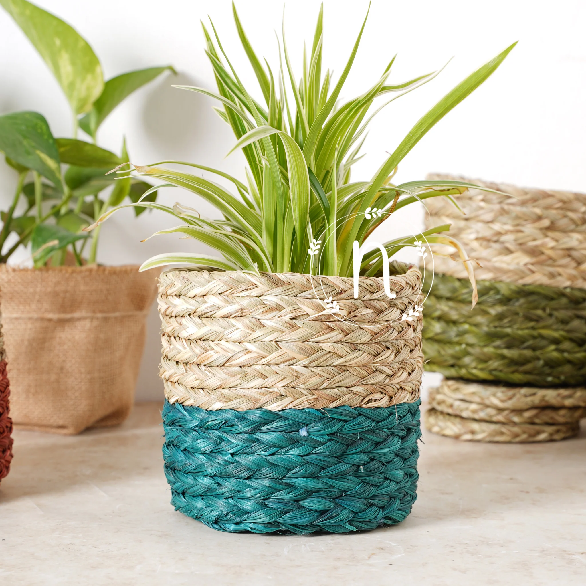 Small Planter Basket - Image 7