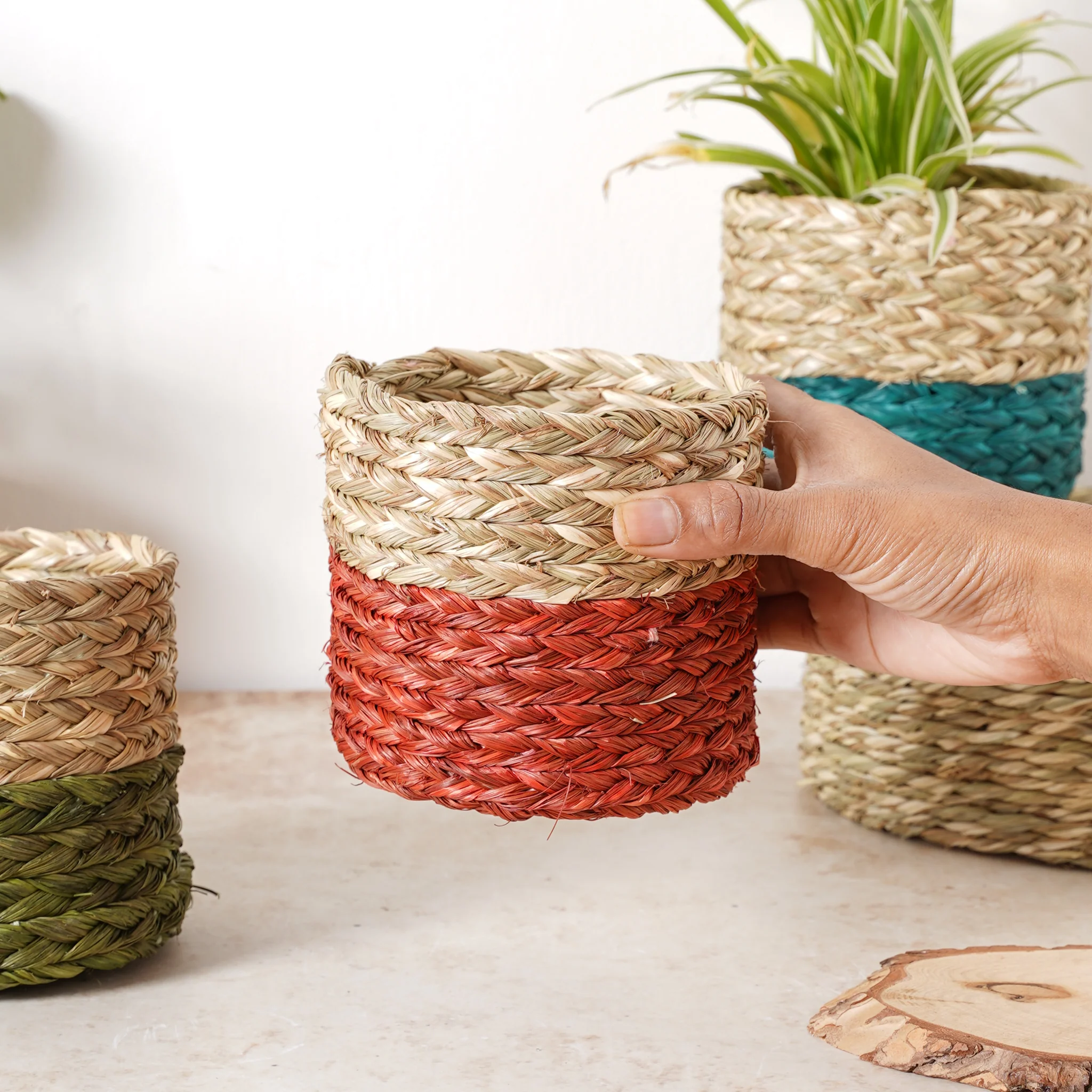 Small Planter Basket - Image 9