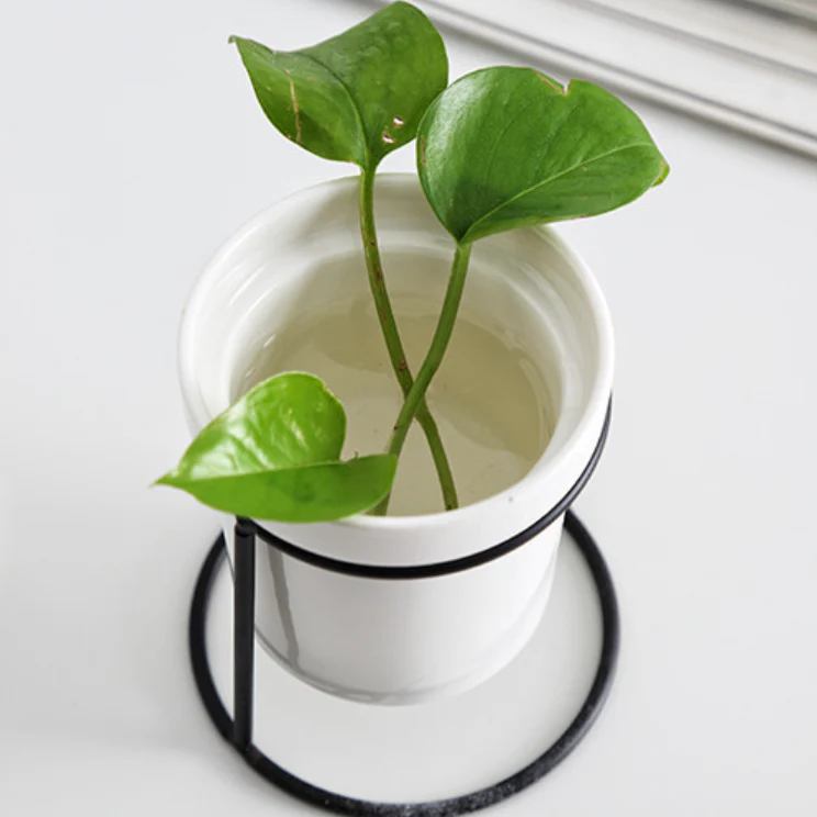 Small Pot Planter - Image 4