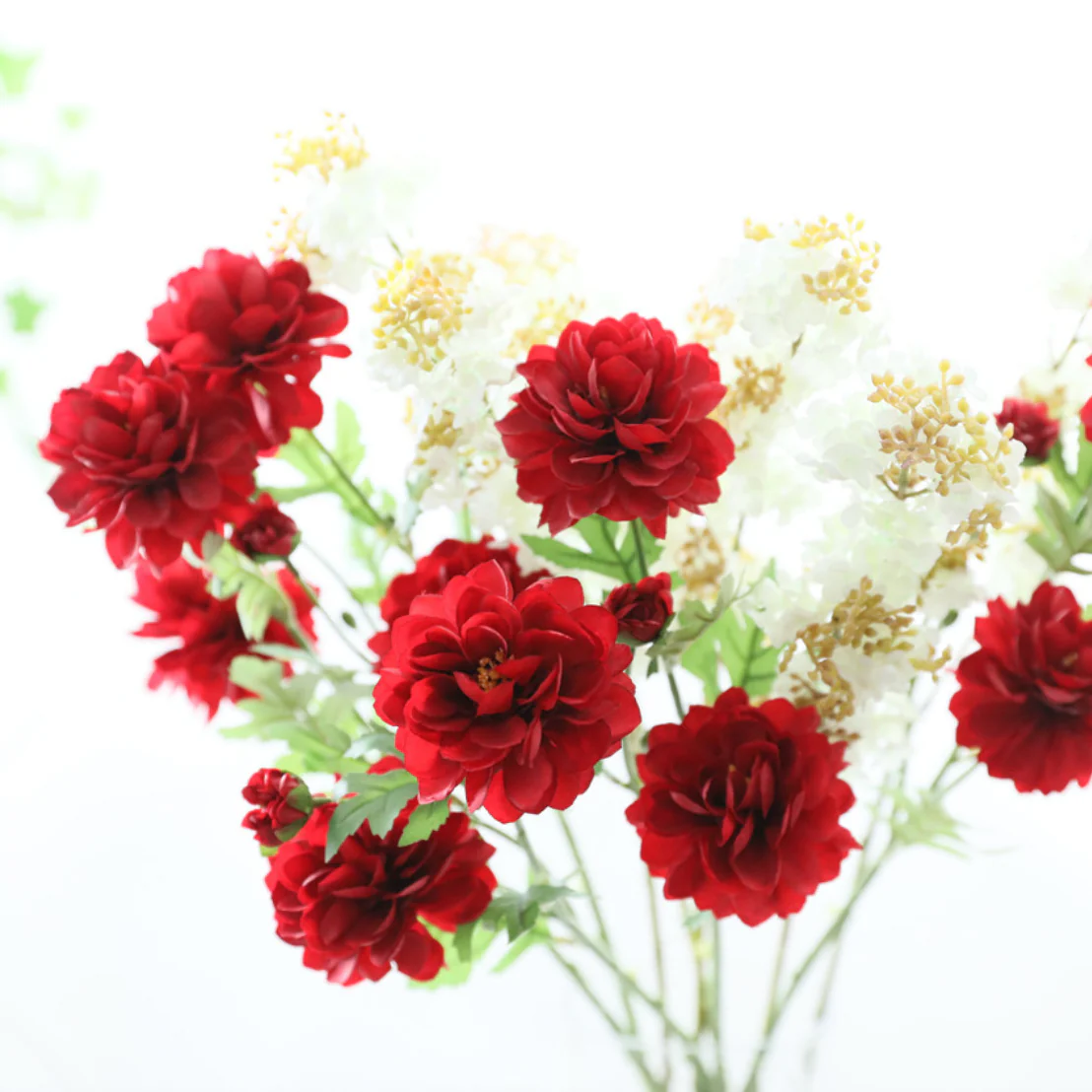 Snow Lotus - Image 13