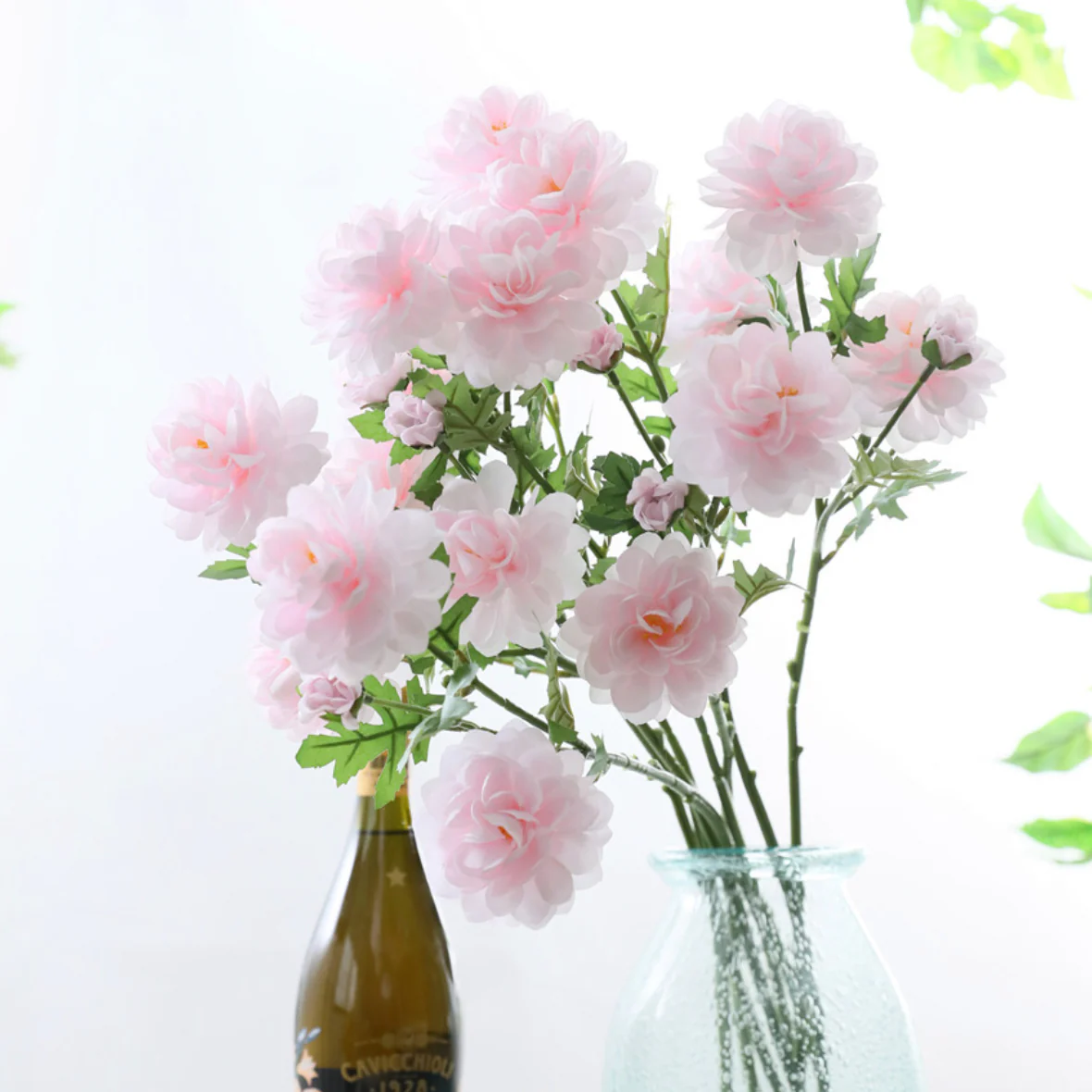 Snow Lotus - Image 9