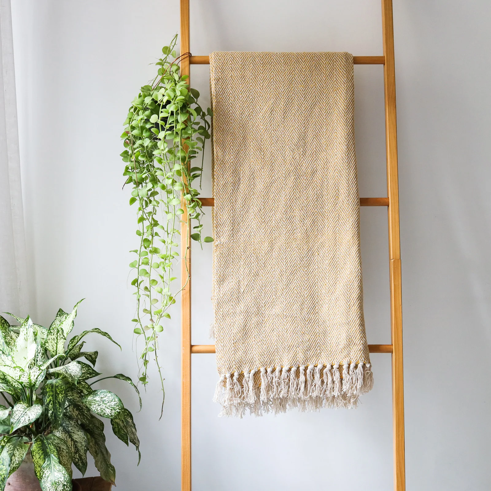 Soft Throw Blanket - Image 8