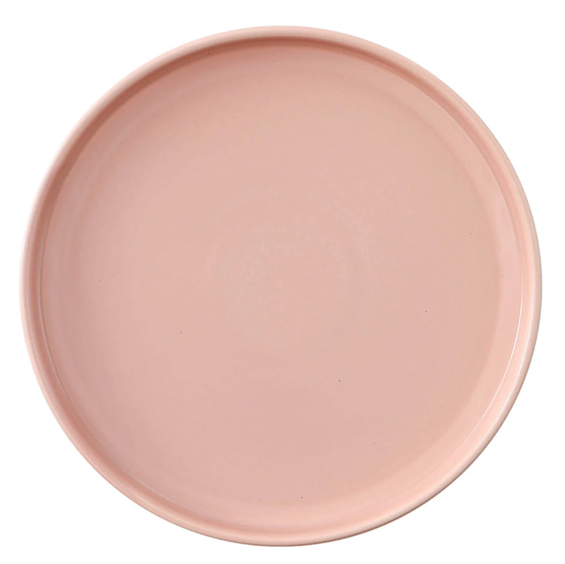 Stoneware Dinner Plate - Image 12