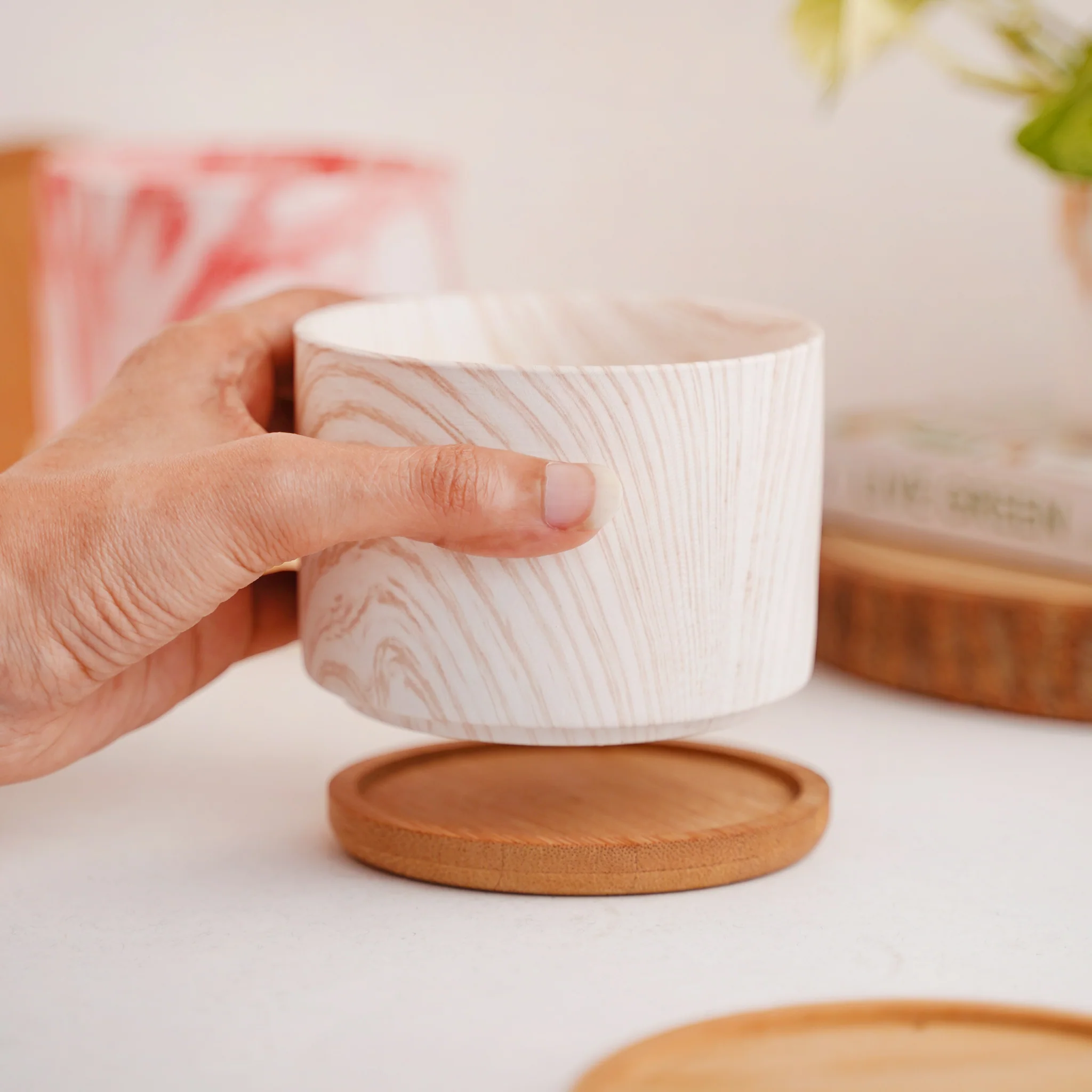 Succulent Plant Pot - Image 10