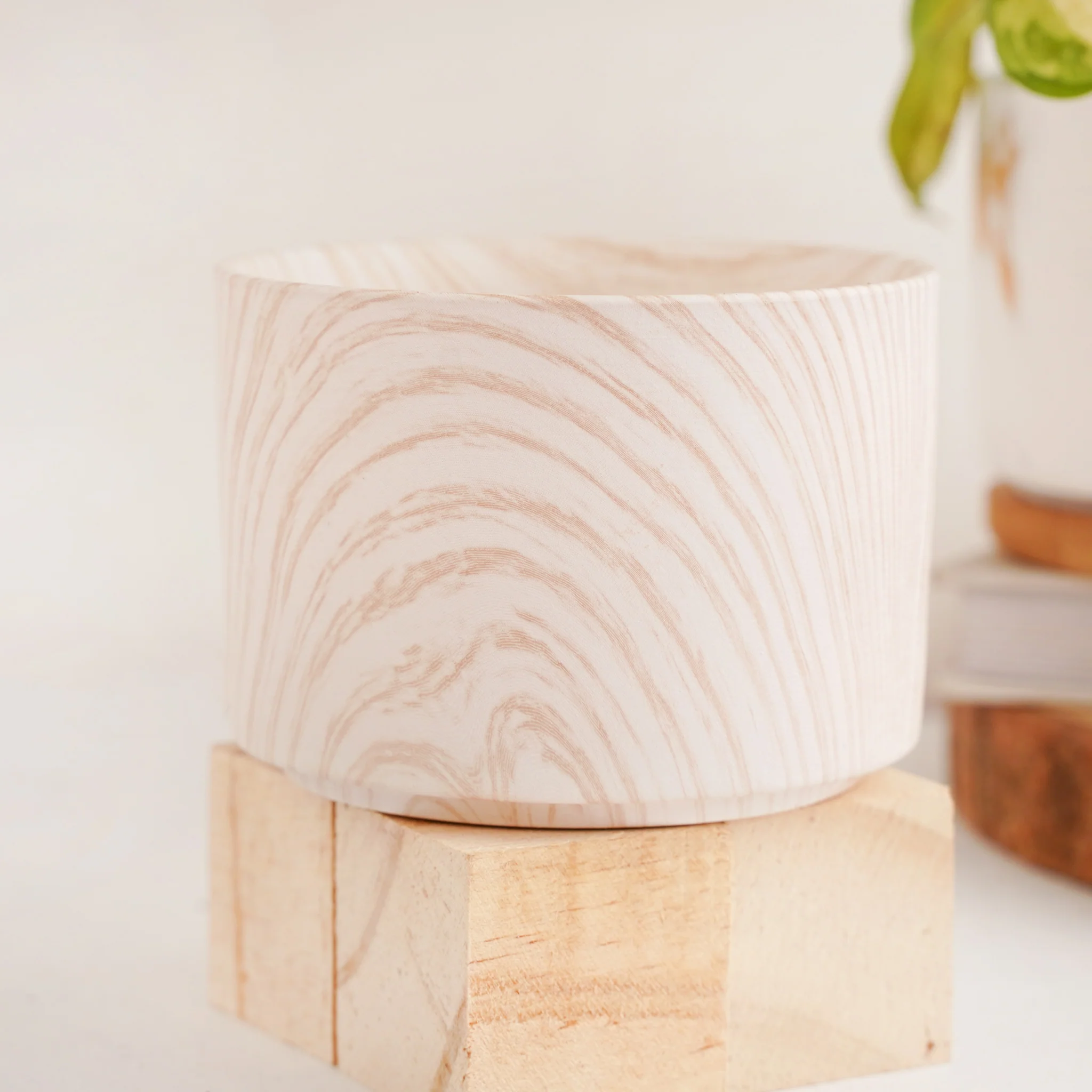 Succulent Plant Pot - Image 18
