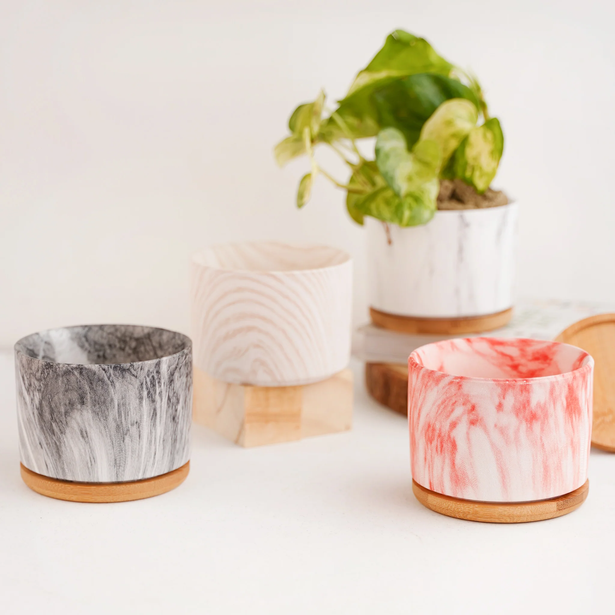 Succulent Plant Pot - Image 7