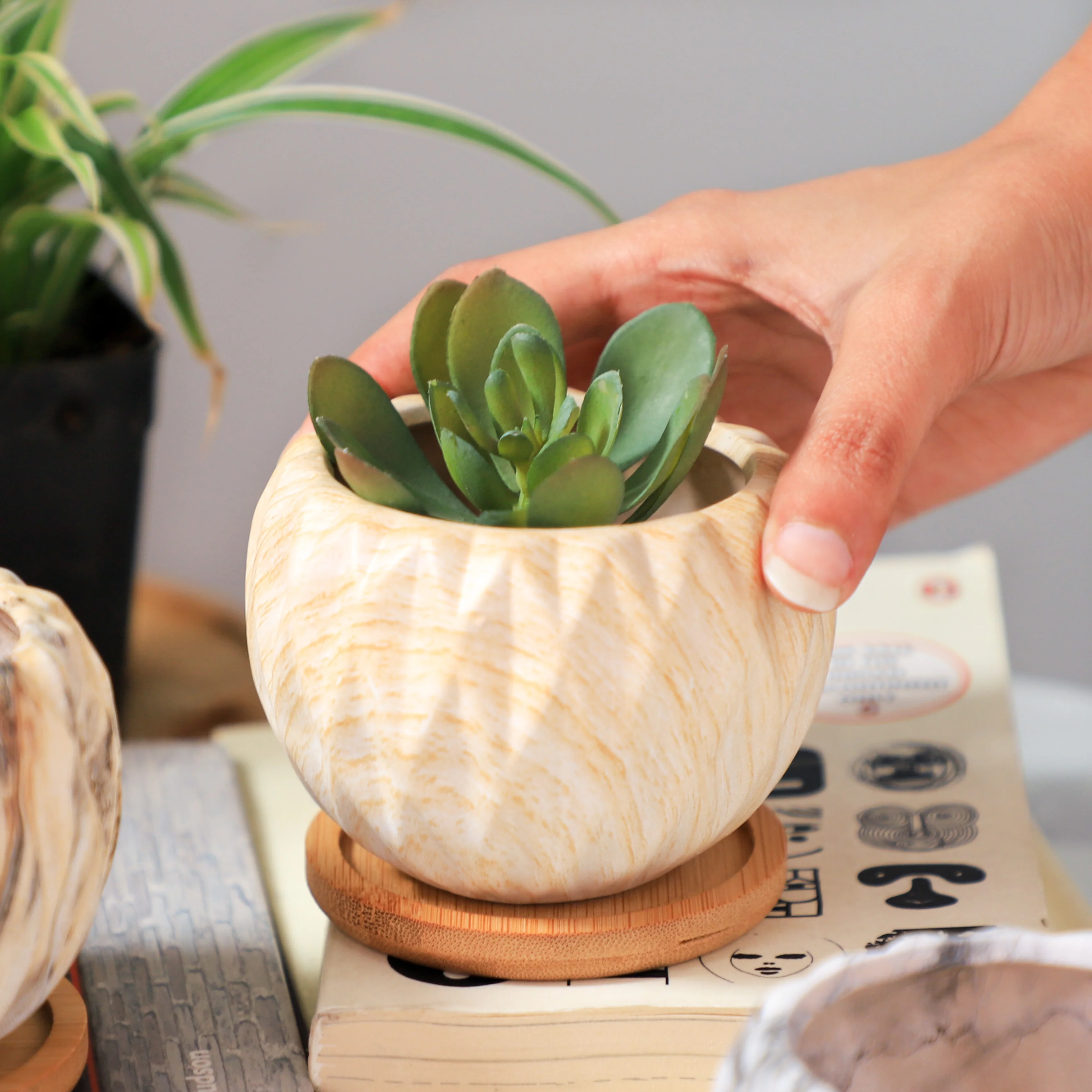 Succulent Planter - Image 14