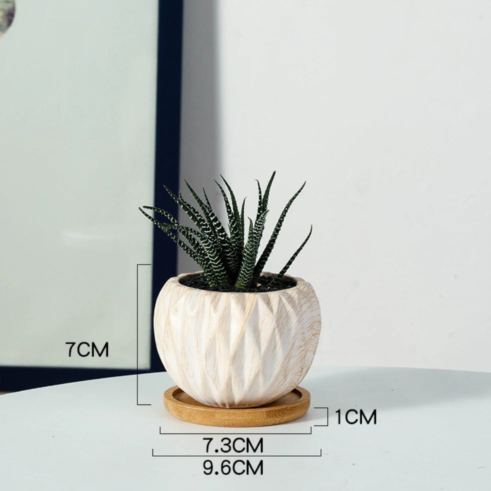 Succulent Planter - Image 16