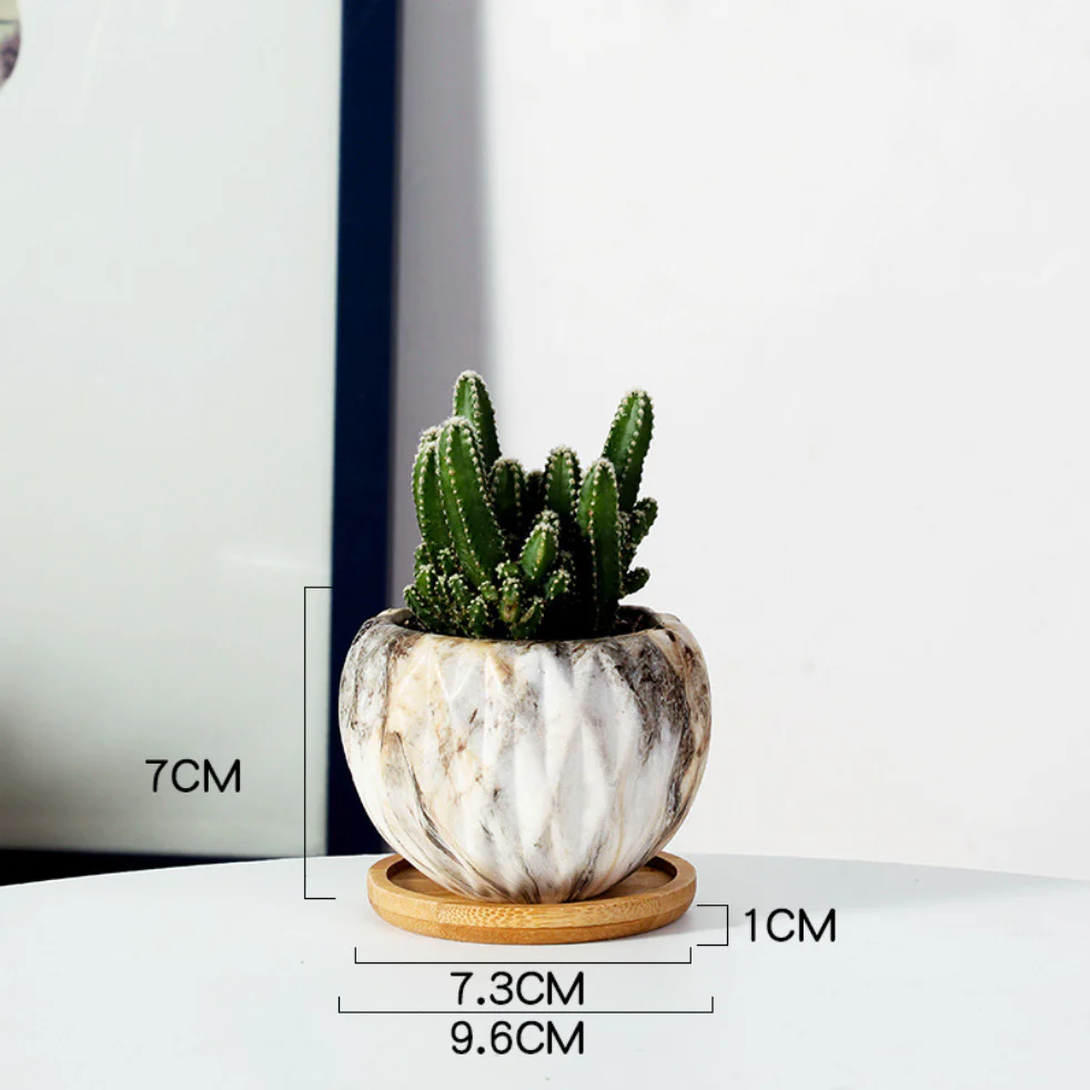 Succulent Planter - Image 18