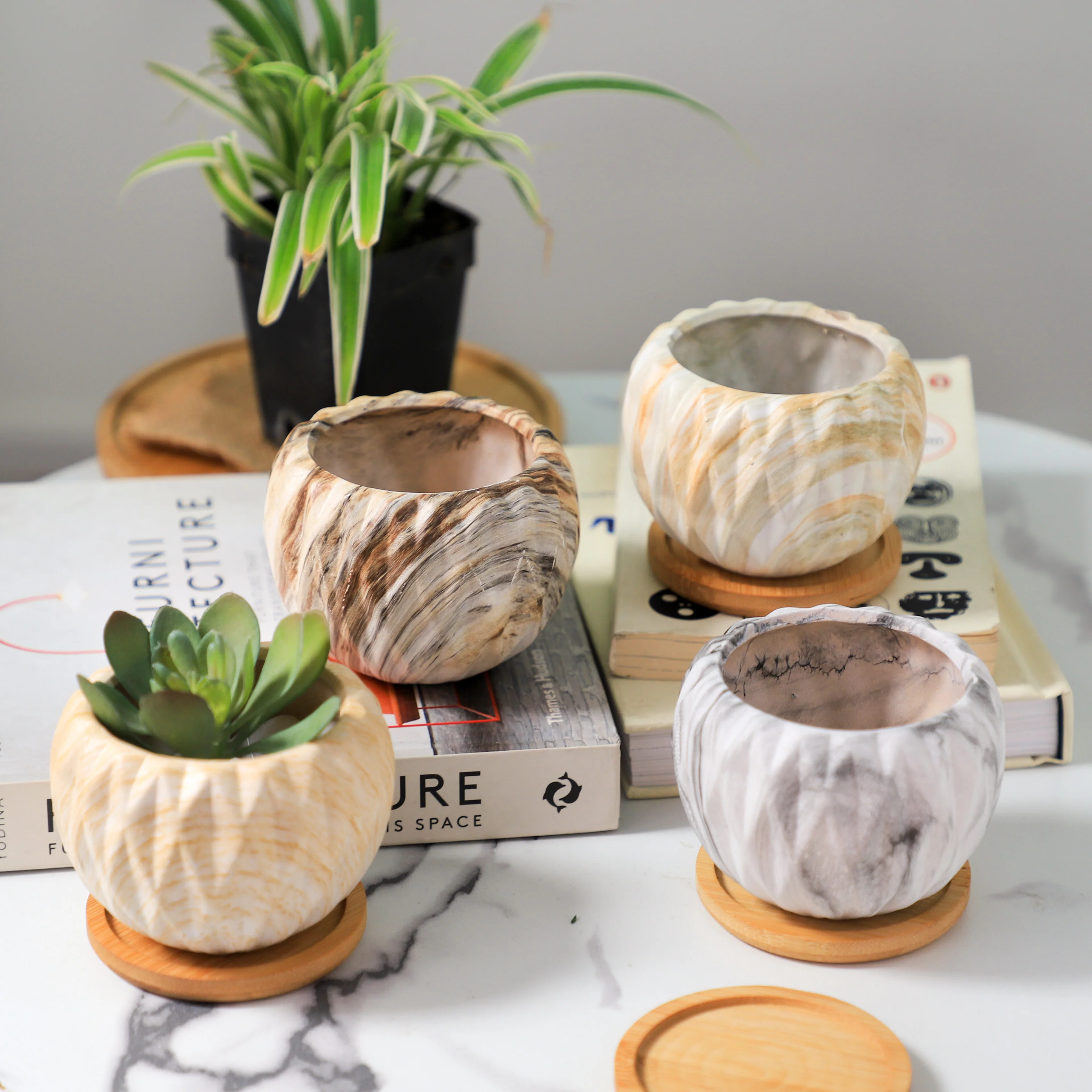 Succulent Planter - Image 7