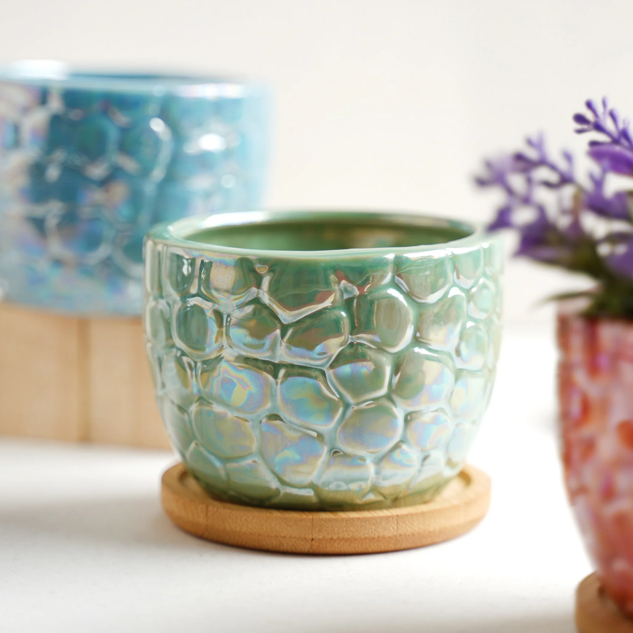 Succulent Pots - Image 14