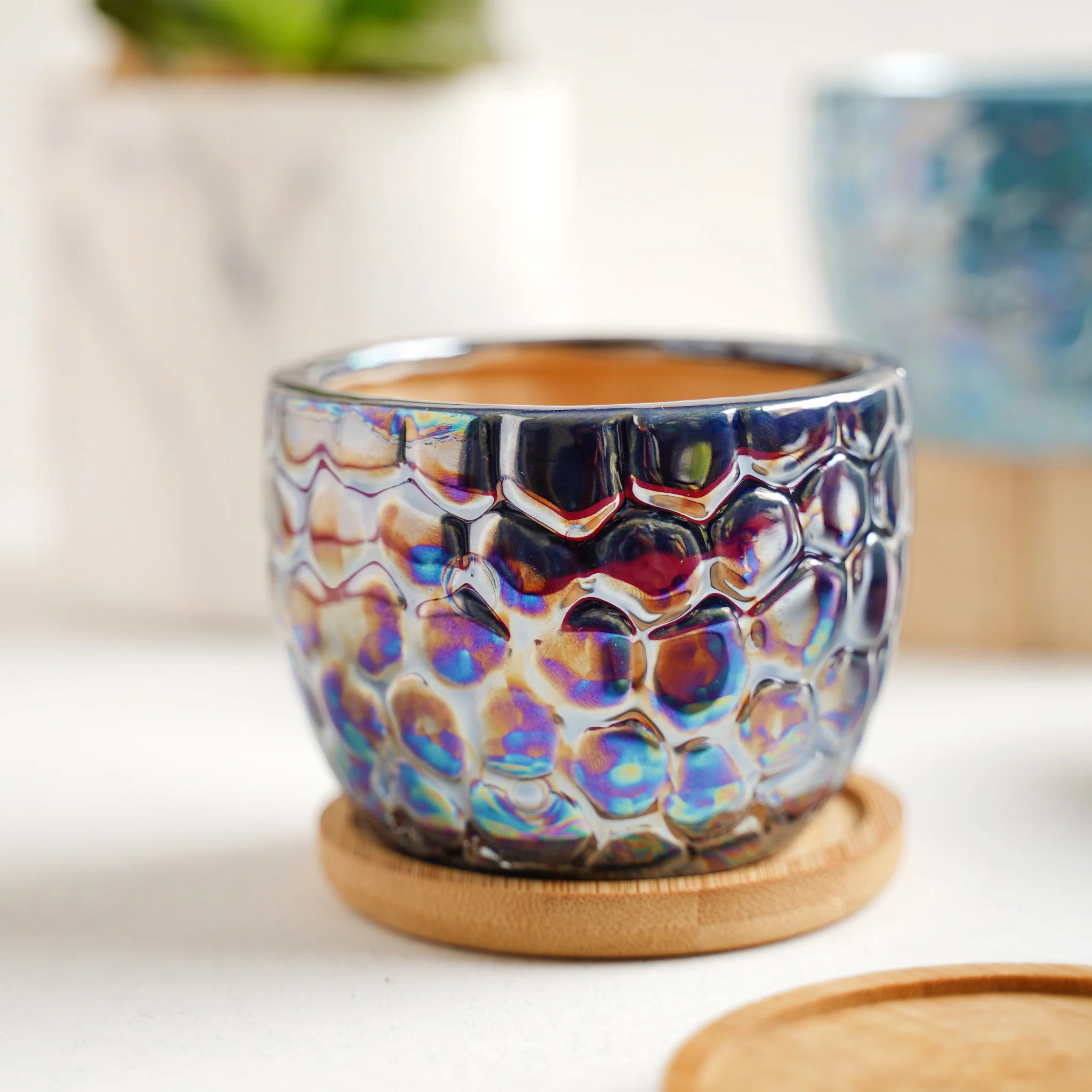 Succulent Pots - Image 15