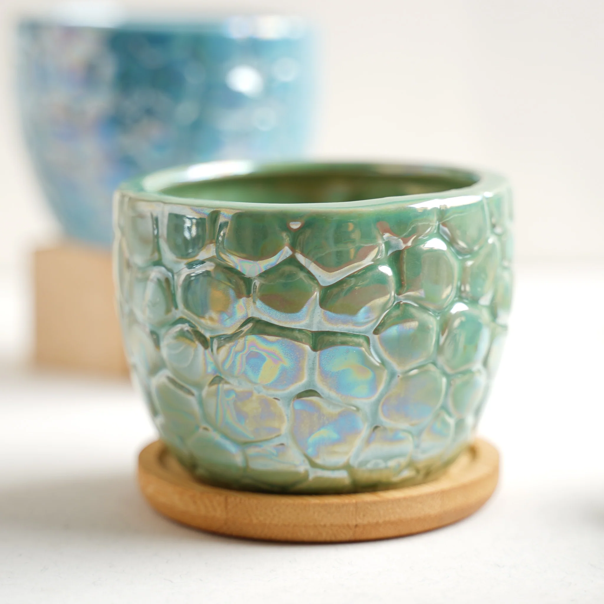 Succulent Pots - Image 16