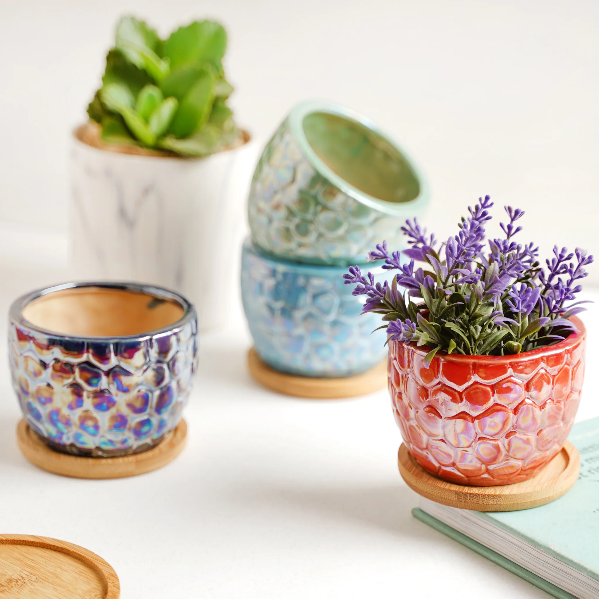 Succulent Pots - Image 7