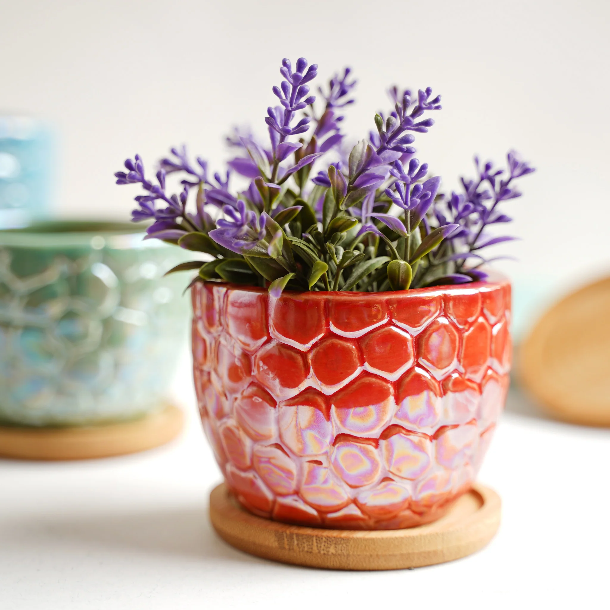 Succulent Pots - Image 9