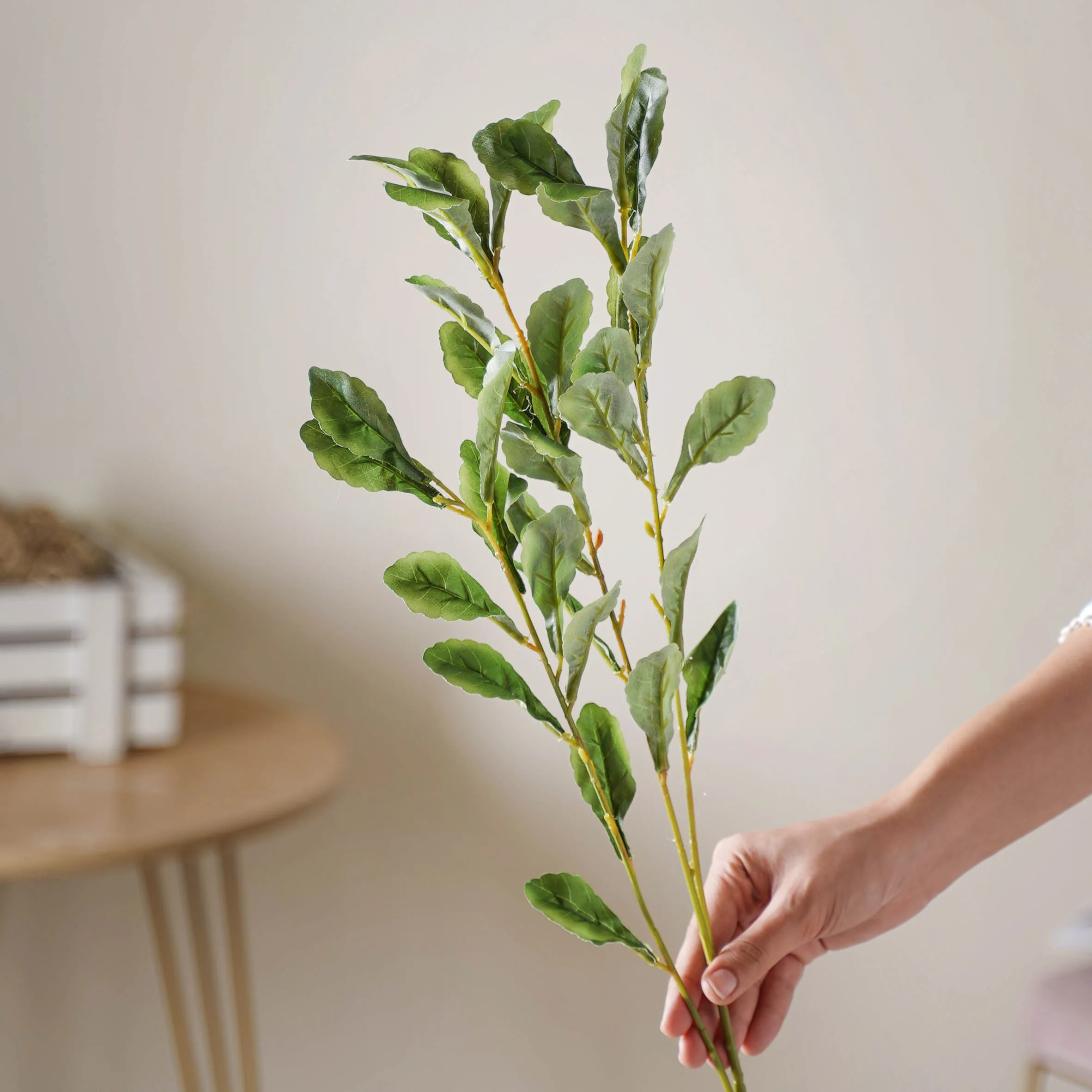 Tall Leaf Stem - Image 3
