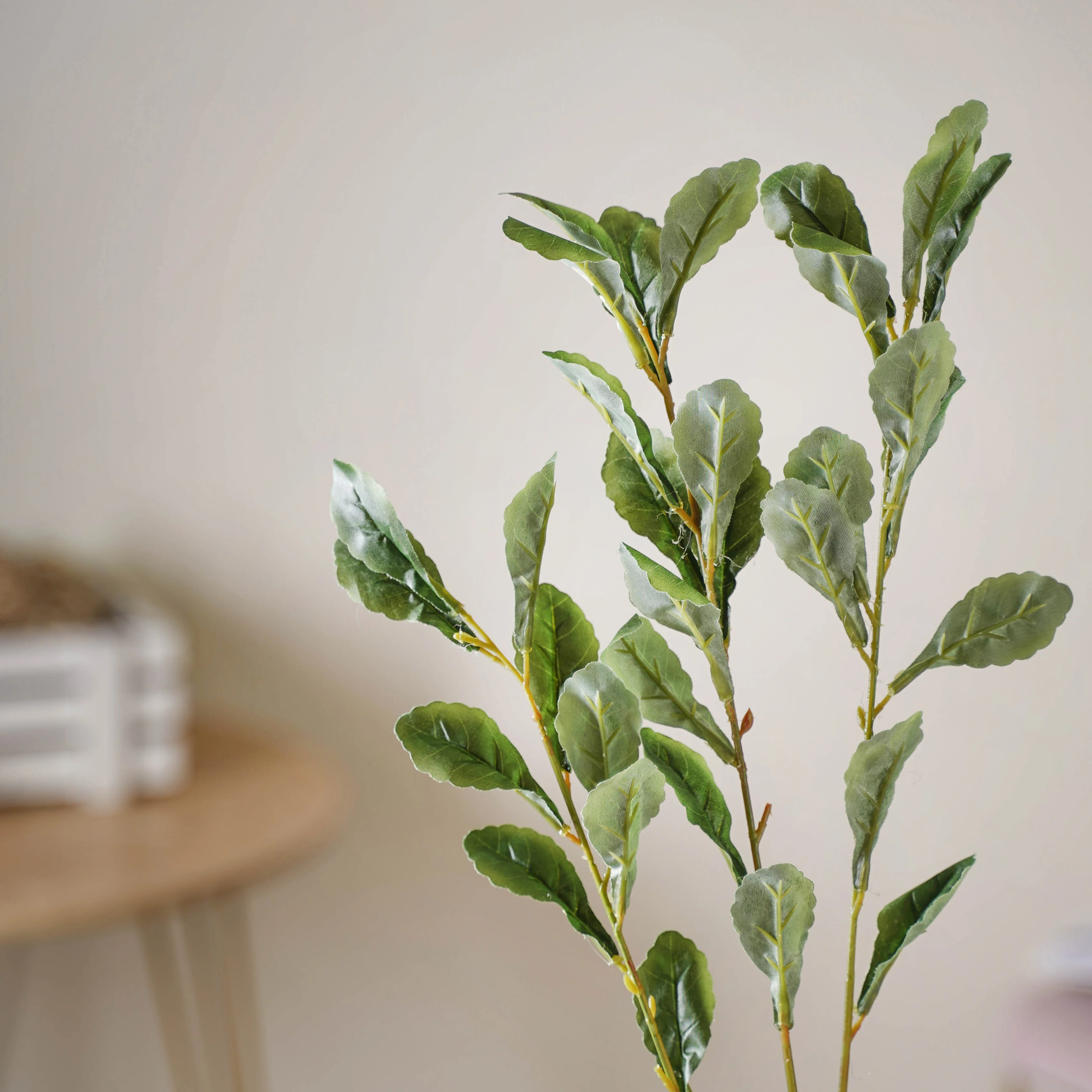 Tall Leaf Stem - Image 4