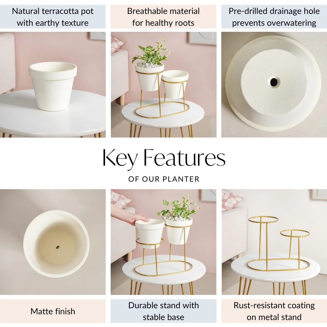 TerraDuo Modern Two Tier Gold Stand With White Planters - Image 4