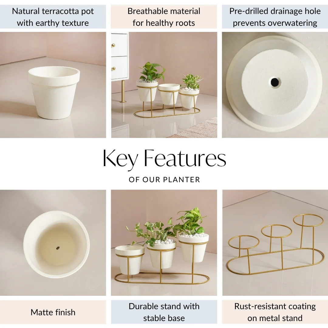 TerraGold Planters With Metal Stand Cream White - Image 5