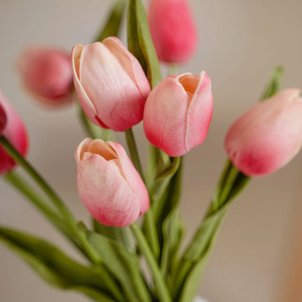 Tulip Flower Pink Set Of 9 - Image 3