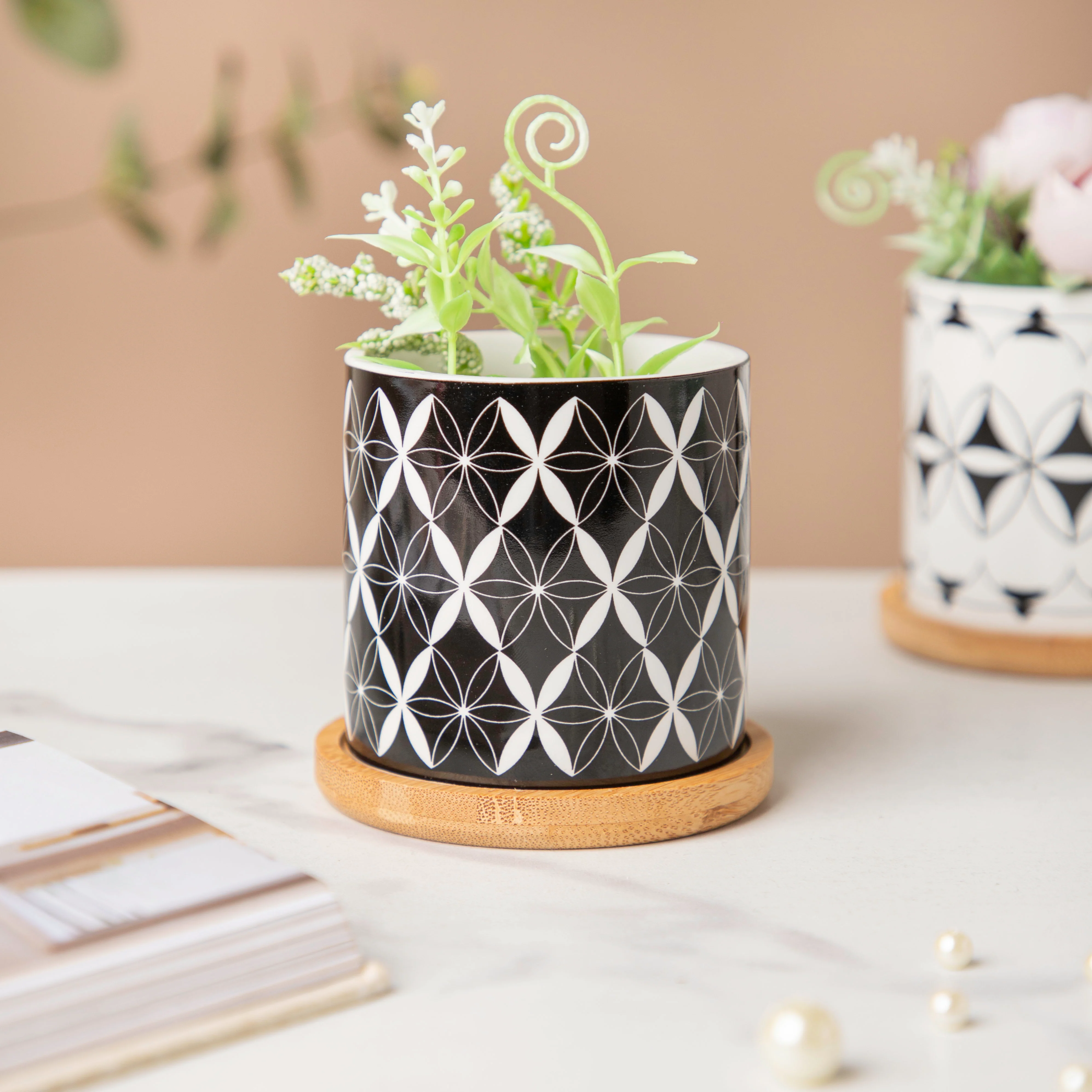 Twyla Diamond Black White Planter With Wooden Coaster - Image 3