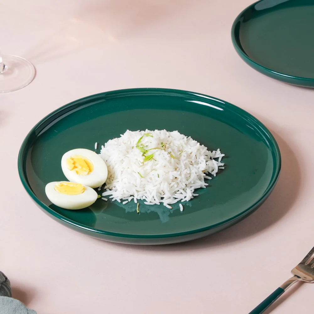 Verdant Round Ceramic Dinner Plate Green 9.5 Inch - Image 4