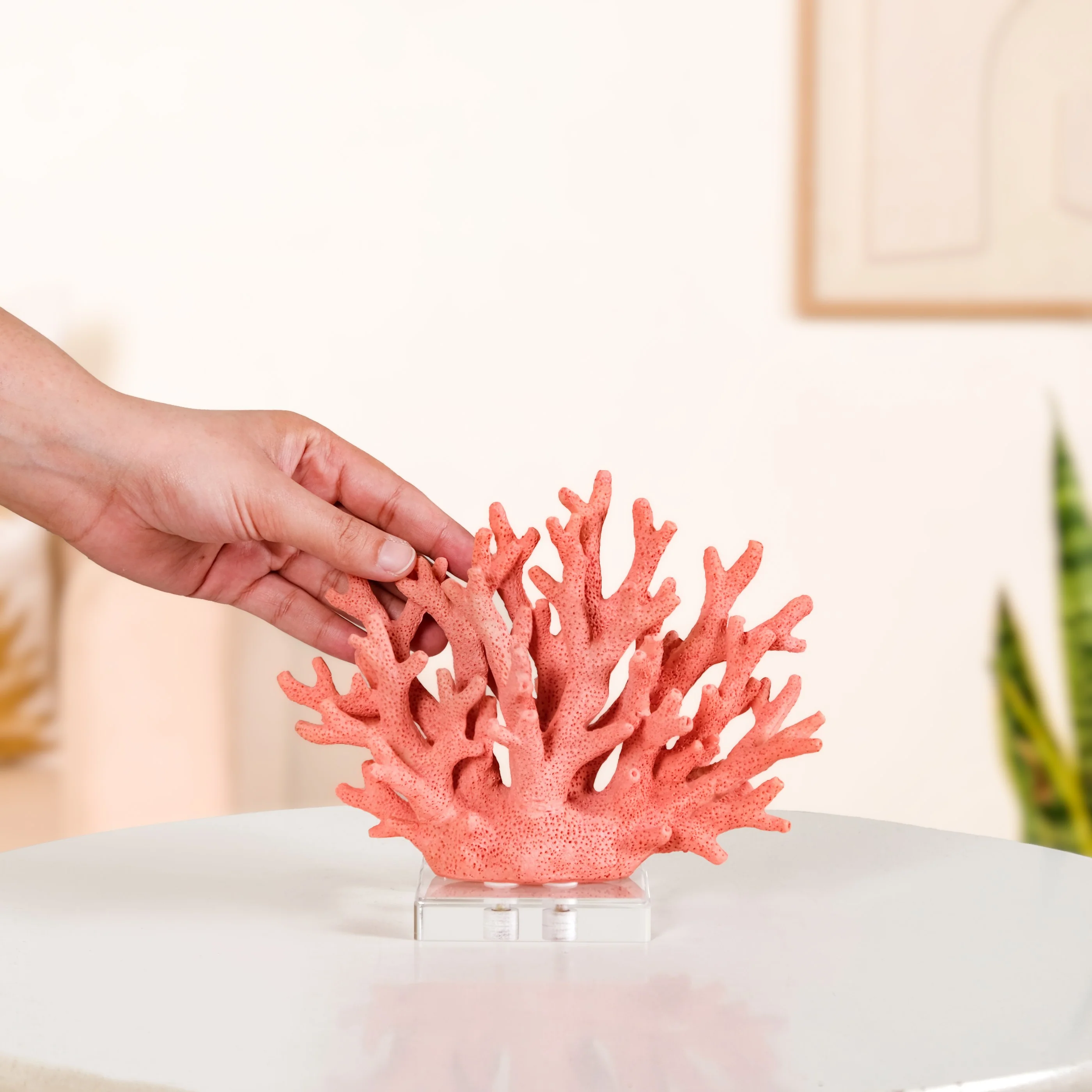 Vibrant Coral Coffee Table Decor - Image 3