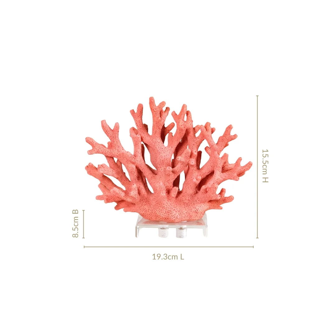 Vibrant Coral Coffee Table Decor - Image 4