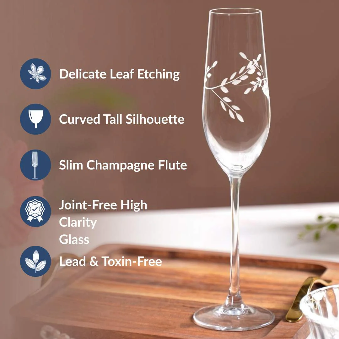 Vinea Etched Champagne Glass Set Of 2 180ml - Image 6