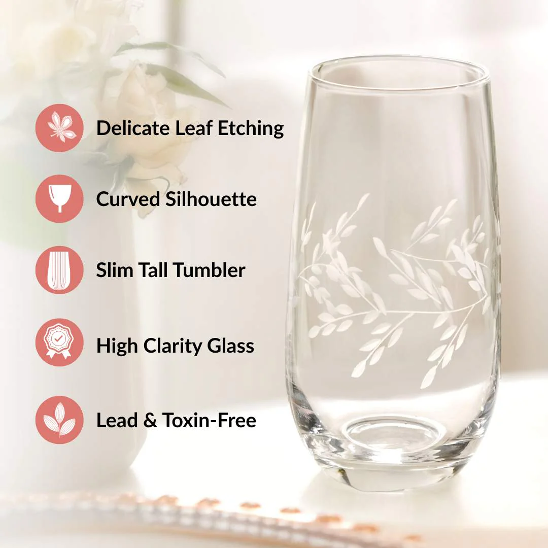 Vinea Etched Tall Glass Tumbler Set Of 2 520ml - Image 5