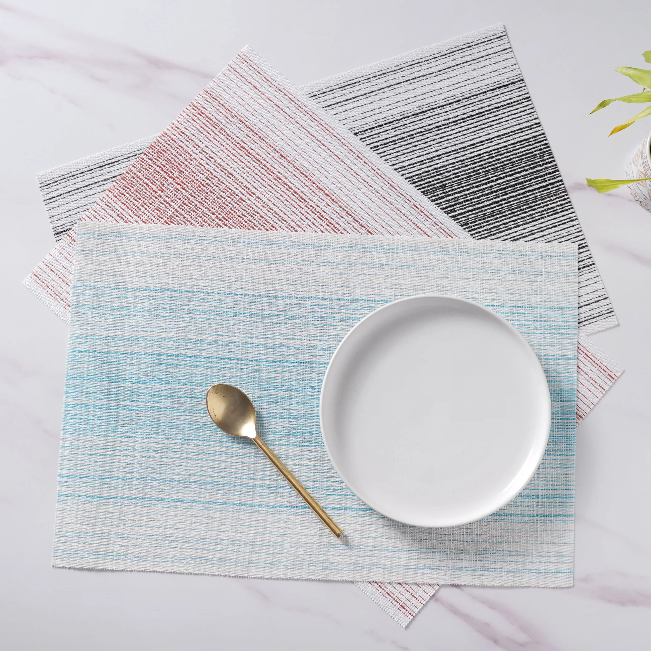 Vinyl Placemat Set - Image 3