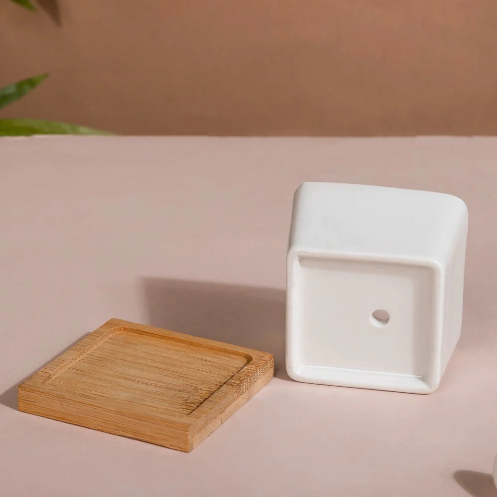 White Ceramic Planter Square Set Of 4 - Image 6