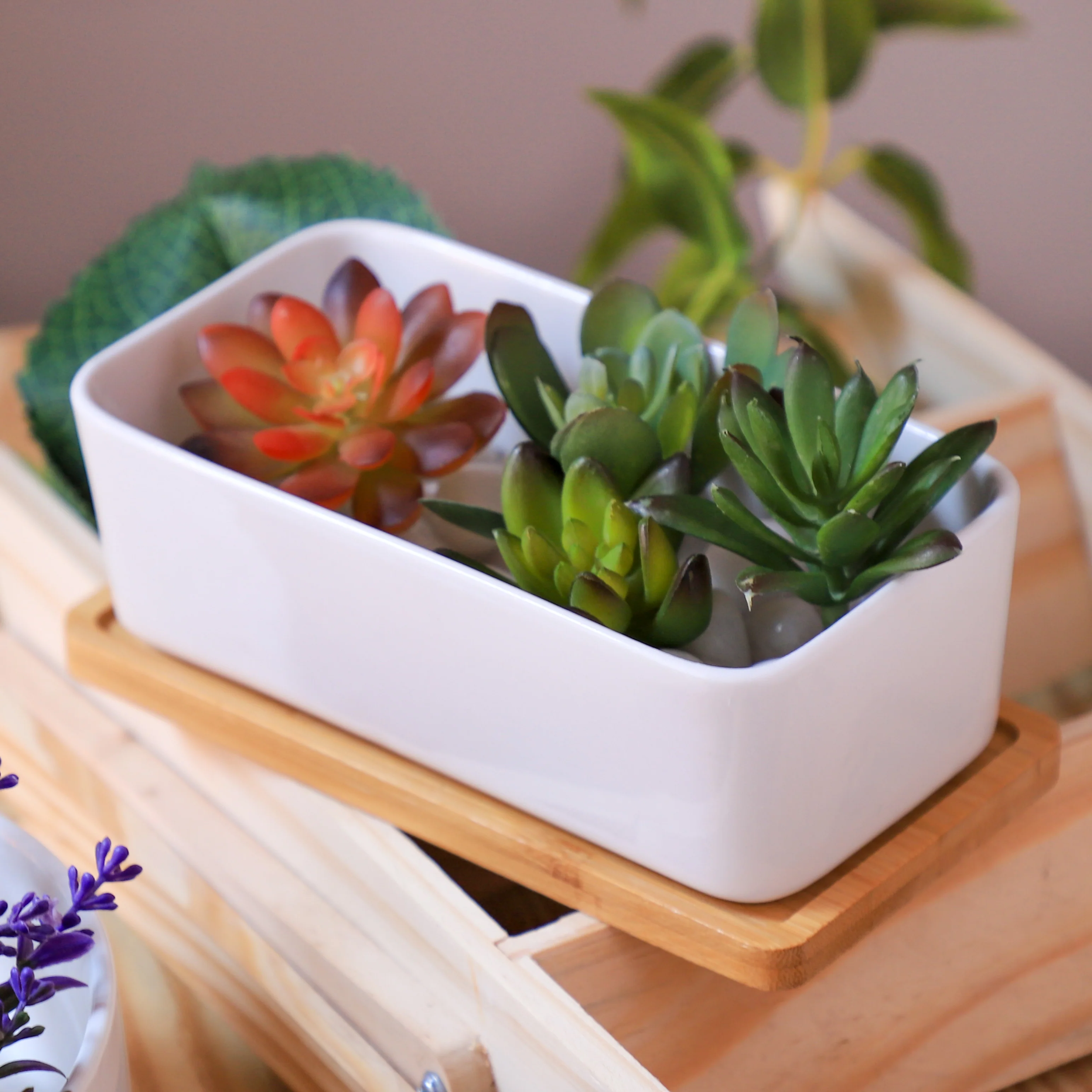 White Plant Pot - Image 11