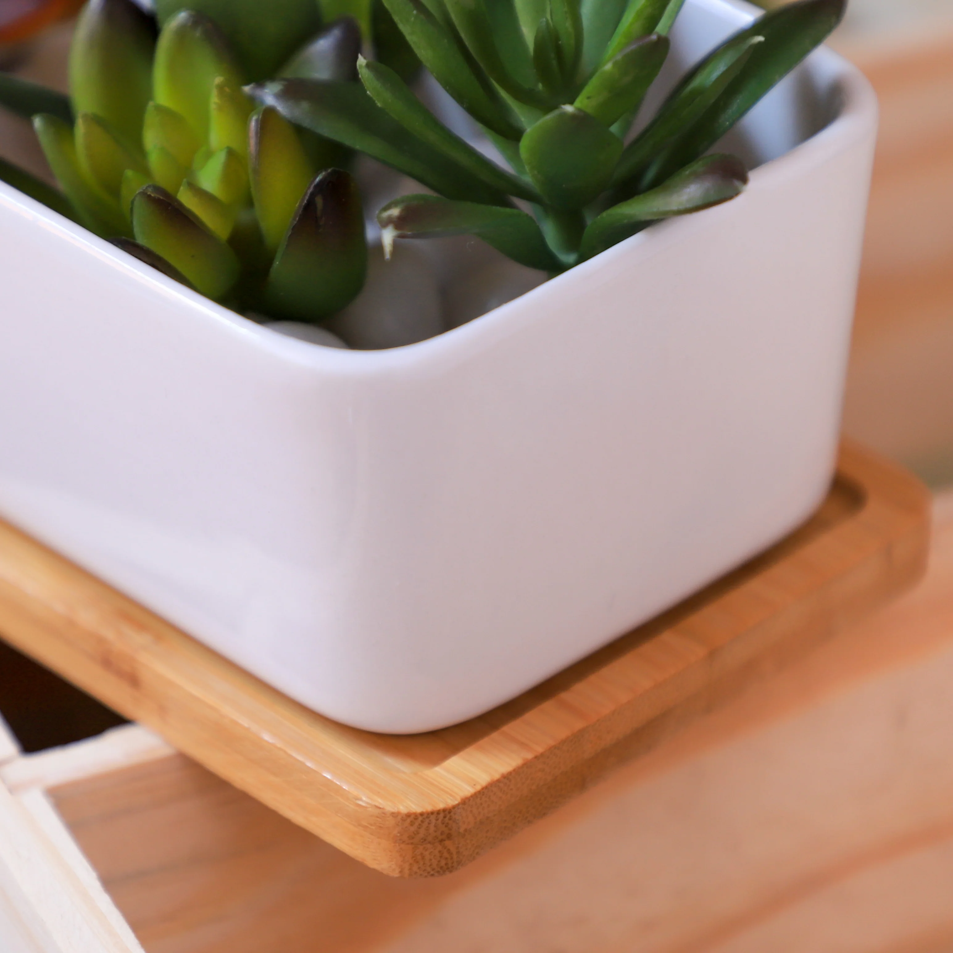 White Plant Pot - Image 15