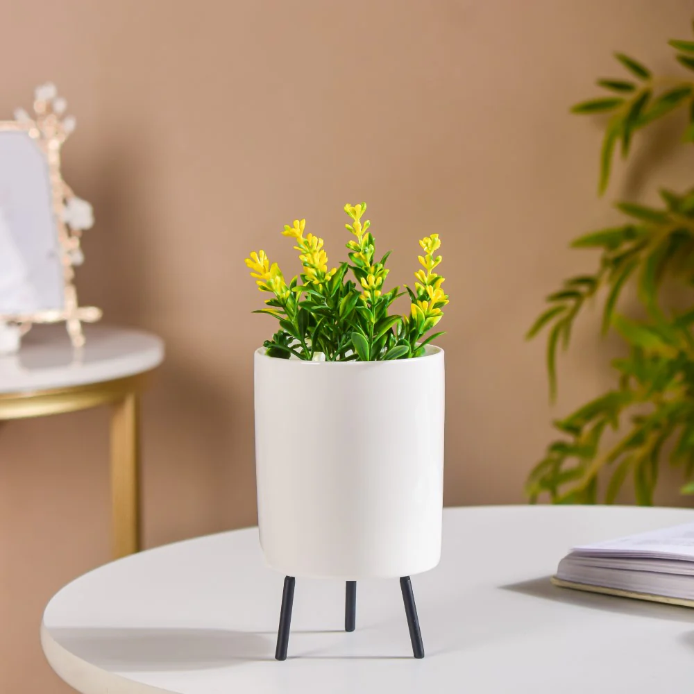 White Porcelain Table Planter - Image 2