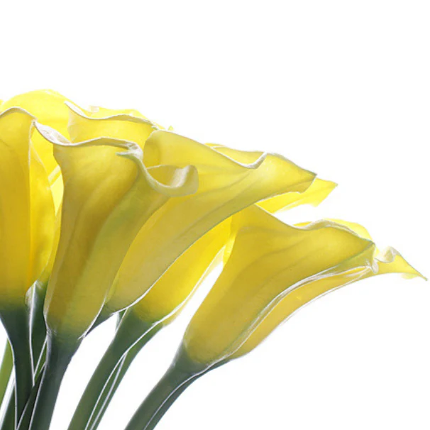 Artificial Lily - Image 10